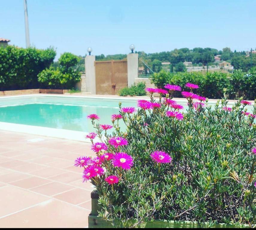 אבולה Locanda Rurale Santa Marta מראה חיצוני תמונה